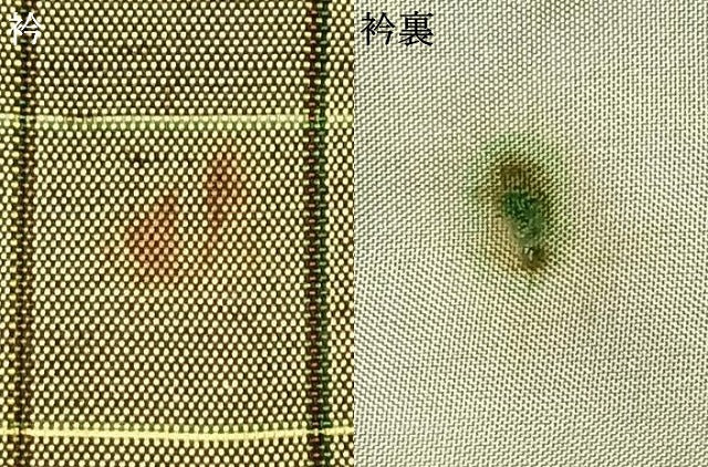 平和屋着物▽上質な紬 単衣 格子 正絹 逸品 AAAZ1604fy