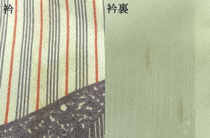 平和屋着物▽小紋 単衣 舞蝶文 洗える着物 AAAZ1636fy