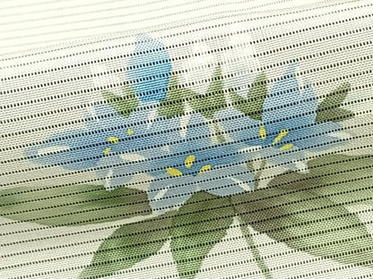 平和屋着物▽訪問着 無双 紗袷 紗×絽 手描き 草花文 正絹 逸品 AAAZ1652fy
