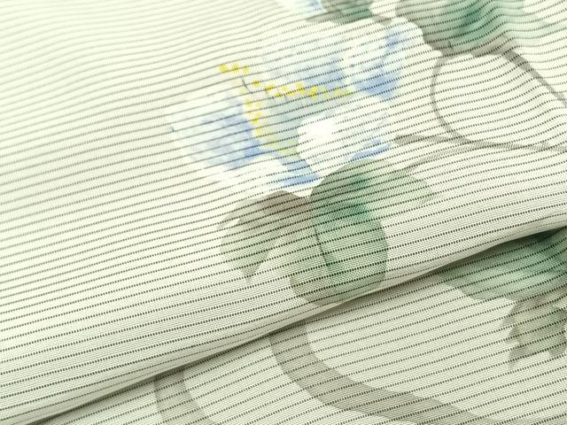 平和屋着物▽訪問着 無双 紗袷 紗×絽 手描き 草花文 正絹 逸品 AAAZ1652fy