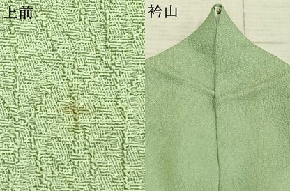 平和屋着物▽上質な色無地　単衣　紋意匠　夏虫色　さが美扱い　正絹　逸品　AAAZ1677fy