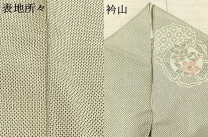 平和屋着物▽本塩沢 単衣 吉祥花文 正絹 逸品 AAAZ1681fy