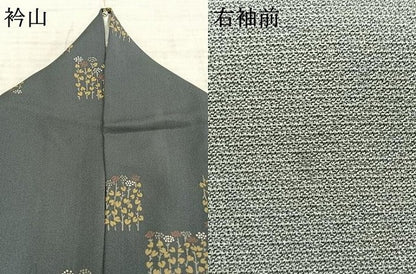 平和屋着物▽上質な小紋 単衣 草花文 正絹 逸品 AAAZ1694fy