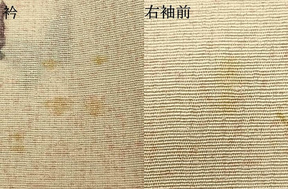 平和屋着物▽上質な小紋 単衣 紬地 舞蝶文 正絹 逸品 AAAZ1698fy