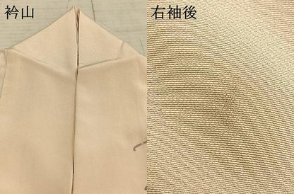 平和屋着物▽訪問着 単衣 御所車文 金銀彩 正絹 逸品 AAAZ1729fy