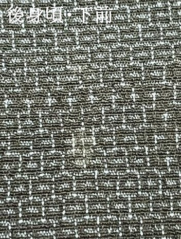 平和屋着物▽本塩沢 単衣 110亀甲 雪輪文 正絹 逸品 AAAZ1743fy