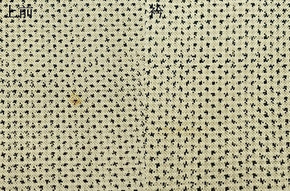 平和屋着物▽本場大島紬 白大島 単衣 熨斗花文 正絹 逸品 AAAZ1758fy