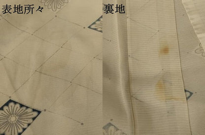 平和屋着物＊夏物　小紋　絽　花菱文　銀彩　正絹　逸品　AAAZ2006st
