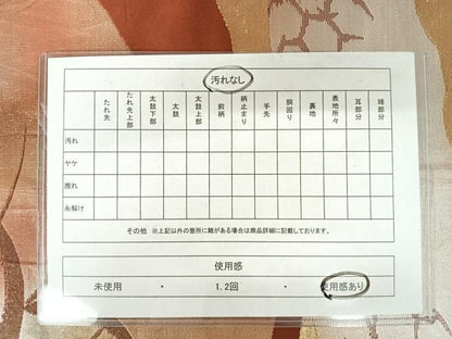平和屋着物◎六通柄袋帯　薄　金銀糸　正絹　逸品　AAAZ2125yx