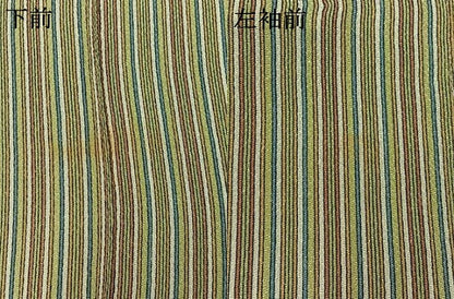 平和屋着物▽上質な小紋 単衣 間道 鬼しぼ縮緬 正絹 逸品 AAAZ2330jh
