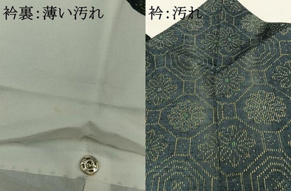 平和屋着物■上質な紬　舞花文　正絹　逸品　AAAZ2889mf