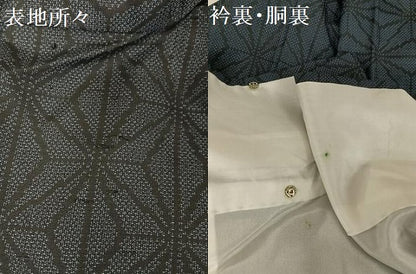 平和屋着物●上質な紬 麻の葉文様 正絹 逸品 AAAZ3193np