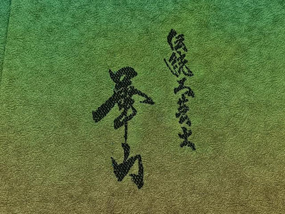 平和屋着物▽色留訪問着 単衣 作家物 霞文 暈し染め 正絹 逸品 AAAZ3976jh