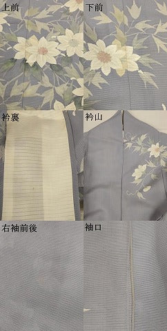 平和屋着物＊夏物　訪問着　絽　手描き　草花文　正絹　逸品　AAAZ4641jd