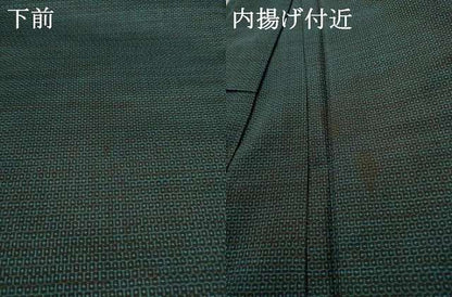 平和屋着物●男性 本場大島紬 100亀甲 総詰め 正絹 逸品 AAAZ4809ck