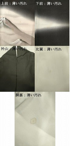 平和屋着物■豪華黒留袖 風景文 暈し染め 金彩 正絹 逸品 AAAZ5588ma