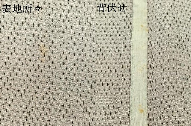 平和屋着物▽本塩沢　単衣　110亀甲　舞葉文　正絹　逸品　AAAZ5695jh
