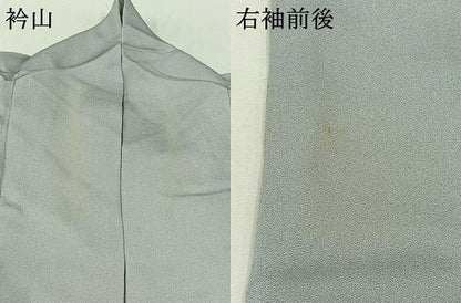 平和屋着物▽訪問着 単衣 枝花文 暈し染め 金彩 正絹 逸品 AAAZ5702jh