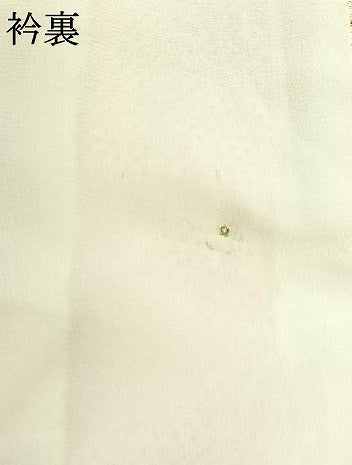 平和屋着物▽本塩沢 単衣 舞葉文 正絹 逸品 AAAZ5706jh