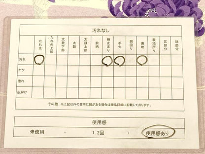 平和屋着物◎六通柄袋帯 籬に乱菊 銀糸 正絹 逸品 AAAZ5839dt