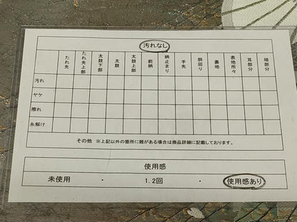 平和屋着物◎六通柄袋帯　唐織　古都の小径　金銀糸　正絹　逸品　AAAZ6300ou
