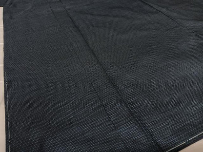 平和屋着物●男性 本場大島紬 アンサンブル 100亀甲 総詰め 正絹 逸品 AAAZ7290zg