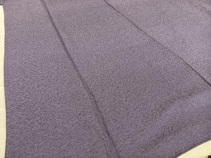 平和屋着物●上質な色無地 氷割れ地紋 滅紫色 正絹 逸品 AAAZ7497zg