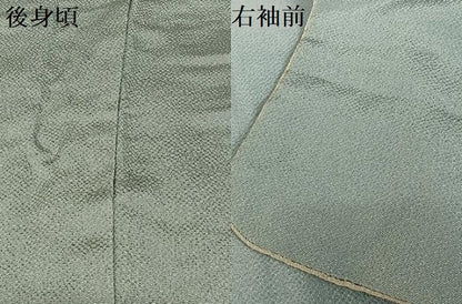 平和屋着物●訪問着 雪輪舞梅文 藤花房 暈し染め 金彩 鬼しぼ縮緬 正絹 逸品 AAAZ7528zg