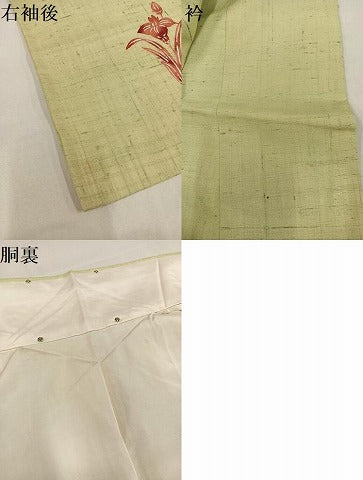 平和屋着物●訪問着　紬地　型染め　花鳥文　金彩　正絹　逸品　未使用　AAAZ7678ph