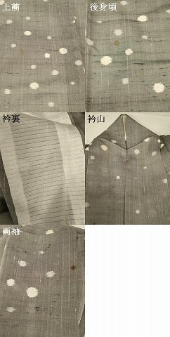 平和屋着物＊夏物 紗紬 丸文 正絹 逸品 AAAZ8539jd