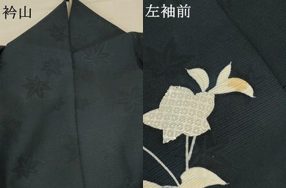 平和屋着物＊夏物 訪問着 絽 草花文 銀彩 正絹 逸品 AAAZ8540jd
