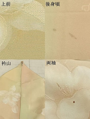 平和屋着物▽上質な小紋 単衣 地紋起こし 草花文 暈し染め 正絹 逸品 AAAZ9037fy