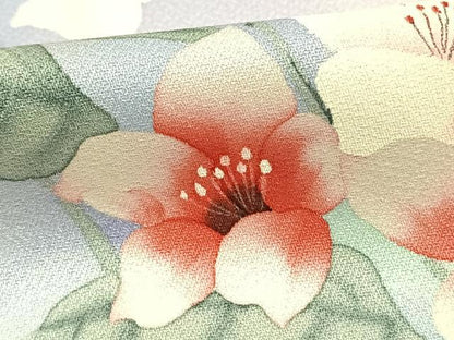 平和屋着物▽訪問着 単衣 手描き 草花文 暈し染め 正絹 逸品 AAAZ9075fy