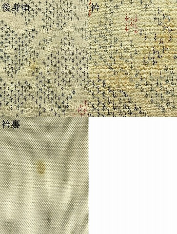 平和屋着物▽本塩沢 単衣 草花文 正絹 逸品 AAAZ9144fy