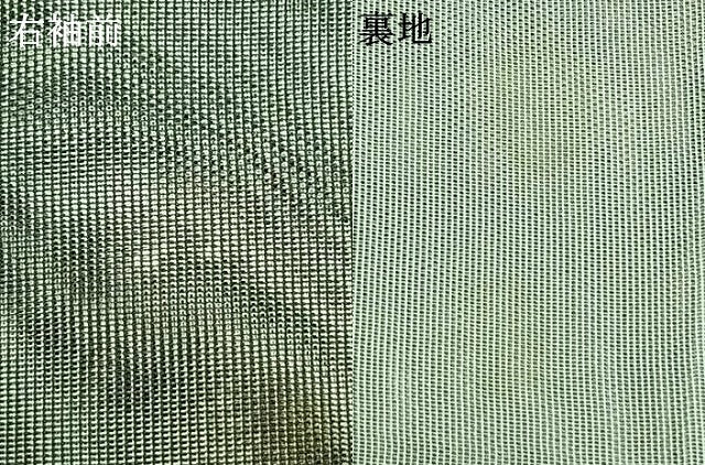 平和屋着物▽訪問着 無双 紗袷 紗×紗 手描き 萩文 水滴 金彩 正絹 逸品 AAAZ9205fy