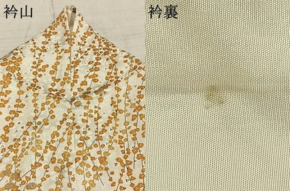 平和屋着物▽訪問着 単衣 枝花文 金彩 正絹 逸品 AAAZ9281fy