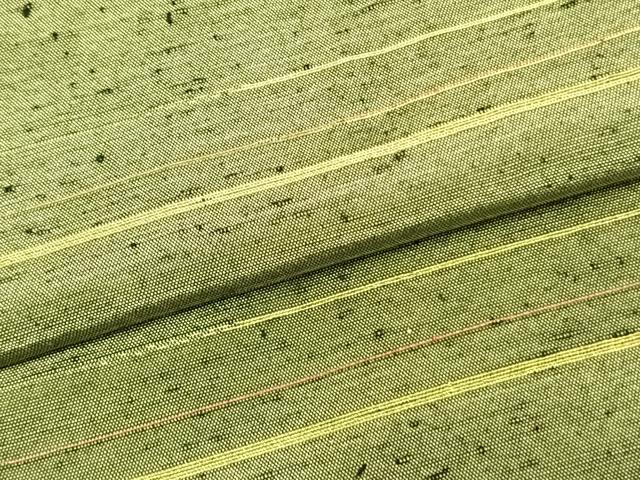 平和屋着物▽上質な紬　単衣　横縞　正絹　逸品　AAAZ9419fy