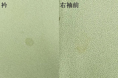 平和屋着物▽訪問着 単衣 手描き 人物草花文 金銀彩 正絹 逸品 AAAZ9440fy