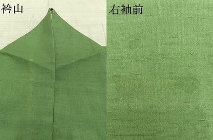 平和屋着物▽本場結城紬 重要無形文化財 単衣 色無地 薄萌葱色 正絹 逸品 AAAZ9513fy