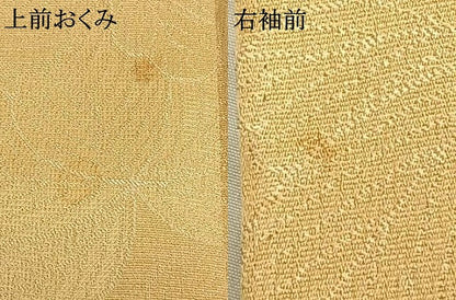 平和屋着物▽上質な色無地　単衣　葉づくし　蜂蜜色　正絹　逸品　AAAZ9521fy