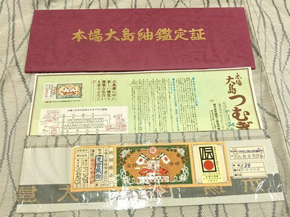 平和屋着物▽本場大島紬 単衣 白大島 丸宮織物 抽象文様 証紙付き 正絹 逸品 未使用 AAAZ9549fy