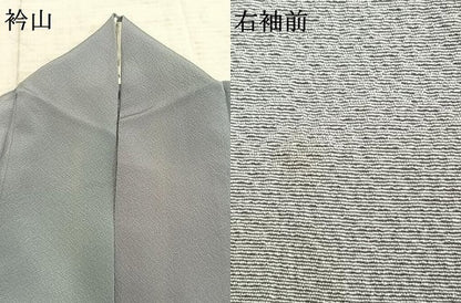 平和屋着物▽染色作家 斉藤三才 小紋 単衣 霞文 正絹 逸品 AAAZ9581fy