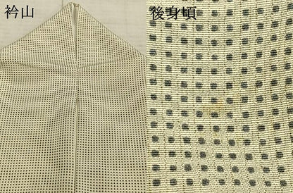 平和屋着物▽上質な小紋 単衣 角通し 正絹 逸品 AAAZ9591fy