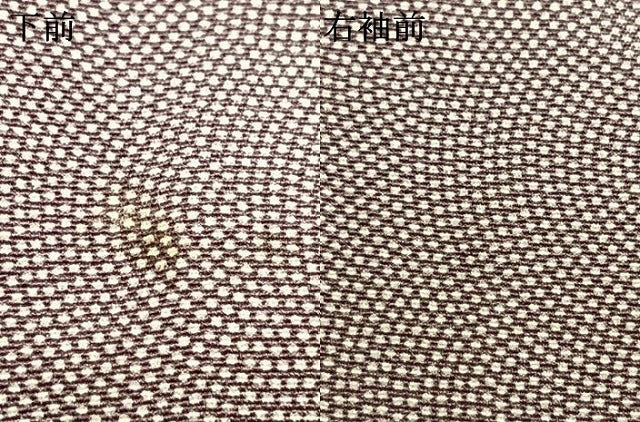 平和屋着物▽江戸小紋　単衣　鮫小紋柄　正絹　逸品　AAAZ9616fy