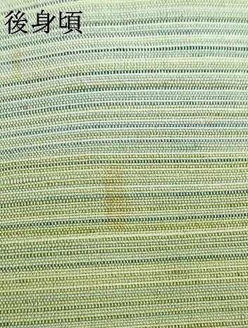 平和屋着物▽上質な紬 単衣 風景樹林文 正絹 逸品 AAAZ9637fy