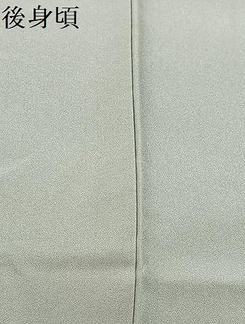 平和屋着物●訪問着　友禅　枝垂れ桜文　正絹　逸品　AABA0187zg