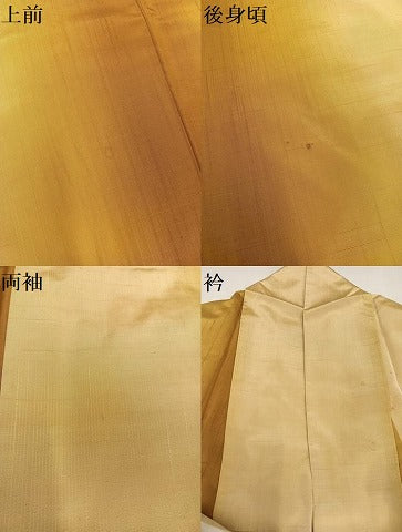 平和屋着物●上質な紬 間道 正絹 逸品 AABA1297ph