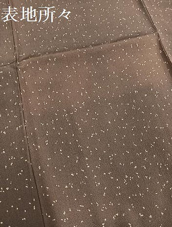 平和屋着物●訪問着　刺繍　草花文　暈し染め　金彩　正絹　逸品　AABA1303ph