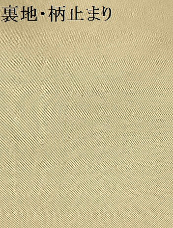 平和屋着物▼六通柄袋帯　唐織　霞孔雀文　金銀糸　正絹　逸品　AABA1817wj