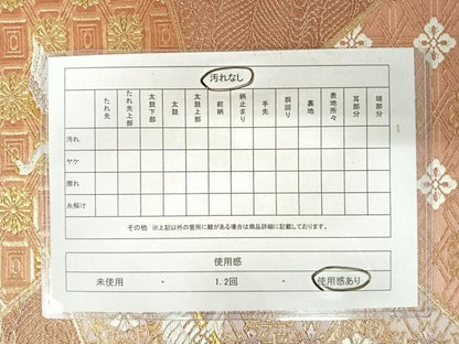 平和屋着物◎六通柄袋帯　唐織　煌玉　金銀糸　正絹　逸品　AABA2009yx